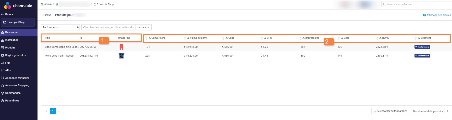 tableau_segmentation_3.jpg
